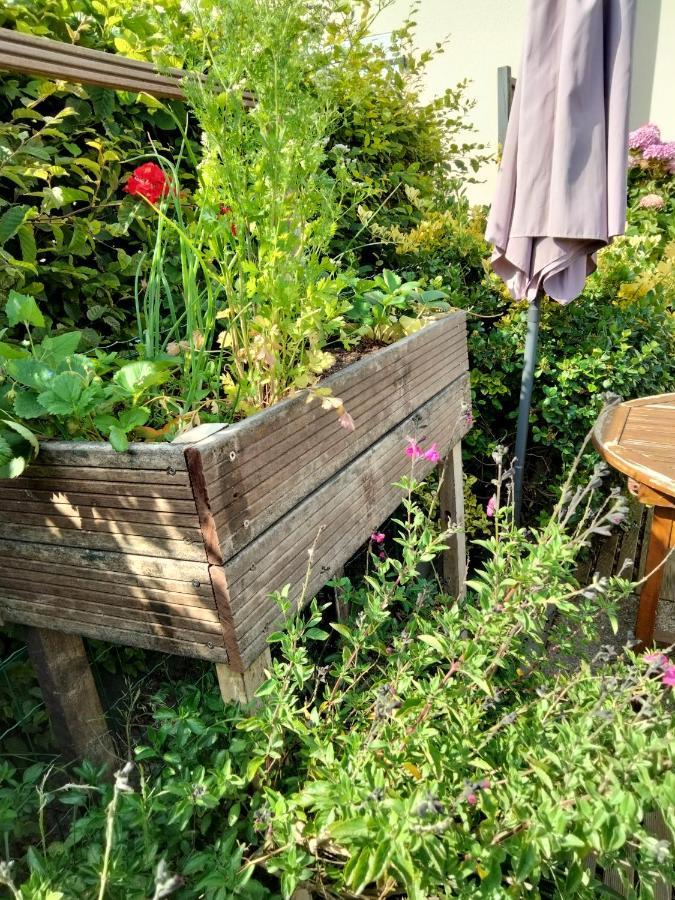 Mer A Pied Vrai Lit Linge Fourni Jardin Бретиньоль-сюр-Мер Экстерьер фото